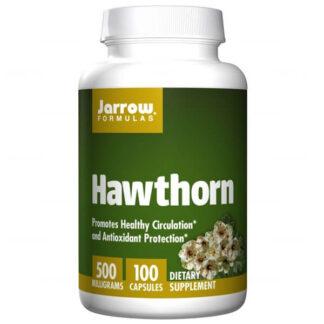 Jarrow Formulas Hawthorn Głóg 500 mg – 100 kaps.